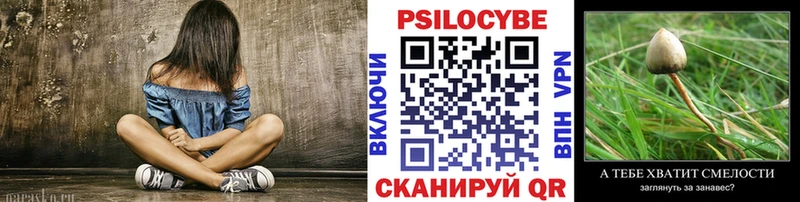 Псилоцибиновые грибы Psilocybe  Купить где  Холм 
